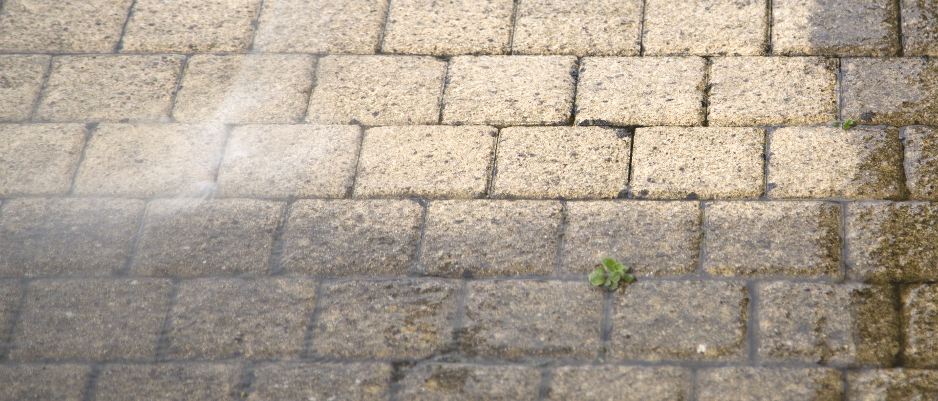 flagging and patios SE15