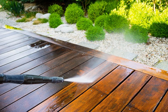 Garden Clearance Peckham, Nunhead, SE15